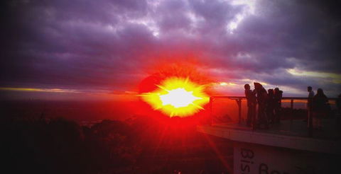 Bluebush Cafe - Accommodation Perth 28