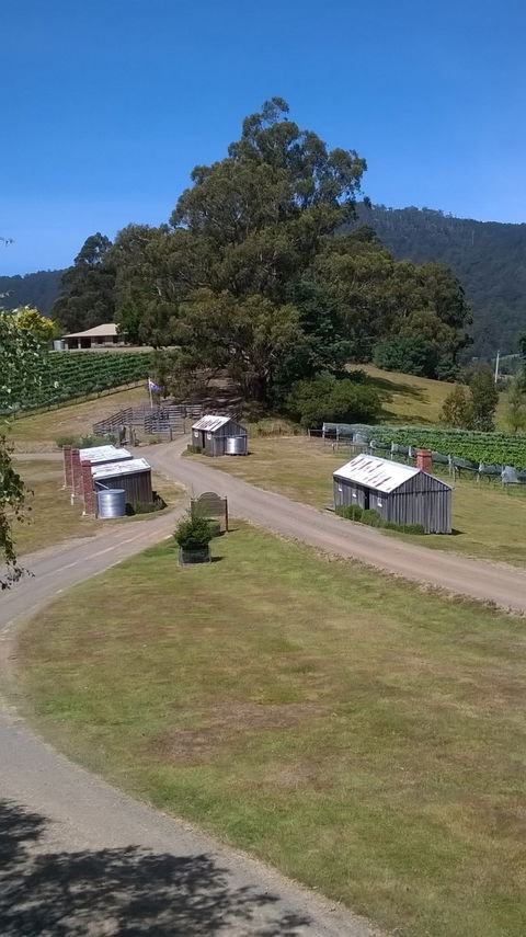 Hartzview Vineyard Cafe - Accommodation Perth 6