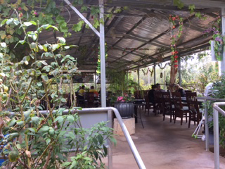 Alice Vietnamese Restaurant - Accommodation Perth 4