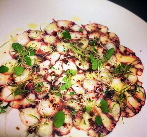 Charlie Lovett - Accommodation Perth 20