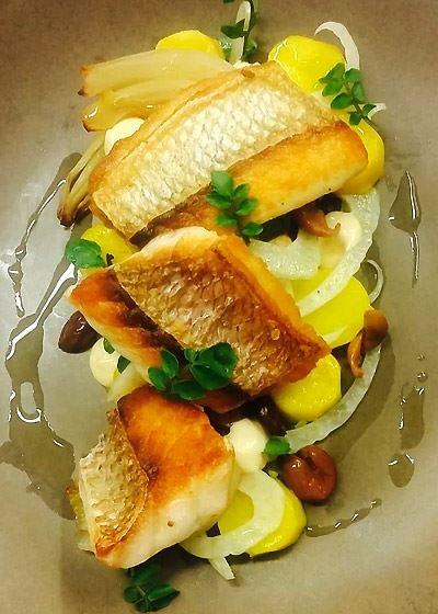 Altitude On Montville - Perth Resorts 3