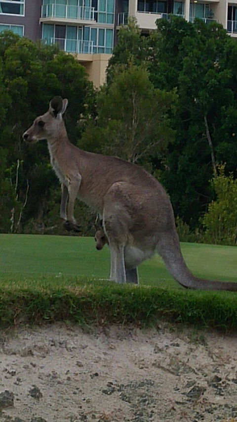 T On Course - Accommodation Perth 3
