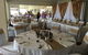 Cottontails Restaurant And Winery - thumb 1