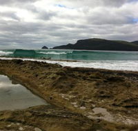 Bruny Island Berry Farm - Accommodation Perth