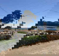 Penguin  Pardalote Coffee House - Accommodation Perth