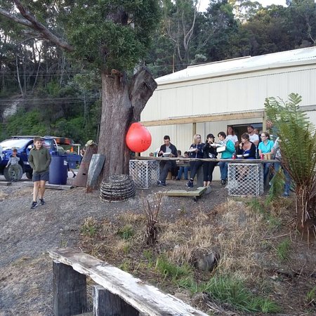 The Bay Fish - Accommodation Perth 0