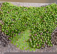 Wattle Hill Olives - Accommodation Perth