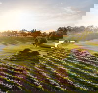 Sandalford Restaurant - Accommodation Perth