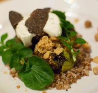 Foragers - Accommodation Perth