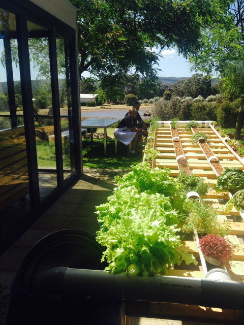 Petra Olive Oil Shed Door Tasting Room & Farm Shop - Accommodation Perth 1