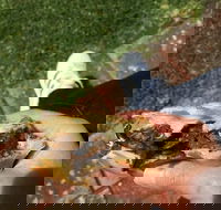 Apex Bakery - Accommodation Perth