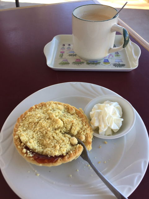 Copley Bush Bakery And Quandong Cafe - Accommodation Perth 5