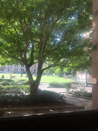 Ryans On The Park - Accommodation Perth 0
