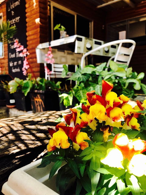 Peachester Cafe - Accommodation Perth 2