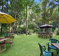 Rainforest - Accommodation Perth