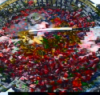 Red Chilli Sichuan Burwood - Accommodation Perth