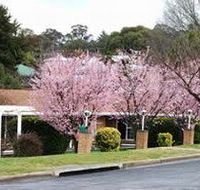 White Lanterns Motel - Accommodation Perth