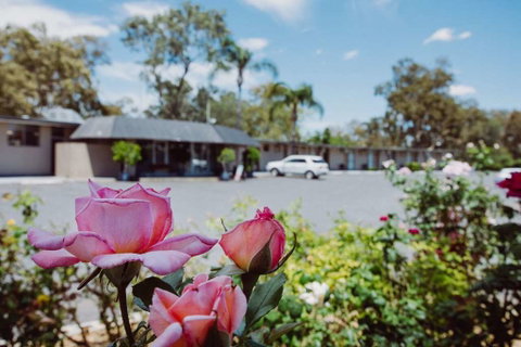Artesian Spa Motor Inn - Accommodation Perth 2