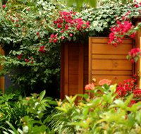 Pink Flamingo - Accommodation Perth