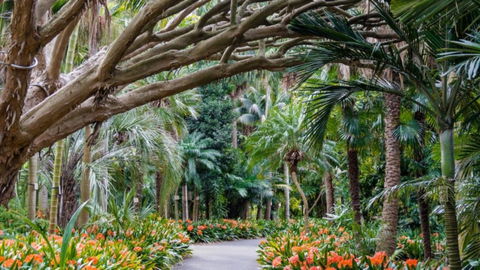 InterContinental Sydney - Accommodation Perth 16