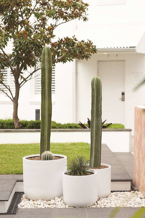 Adina Apartment Hotel Chippendale - Accommodation Perth 0