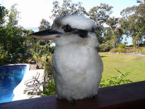 Yarrandabbi Dreaming Boutique B&B - Accommodation Perth 2