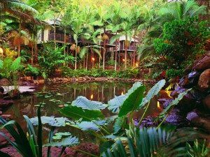Daintree Eco Lodge & Spa - Accommodation Perth 0