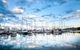 Manly Marina Cove Motel - thumb 1