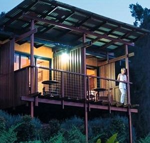 O'Reilly's Rainforest Guesthouse - Perth Resorts 1
