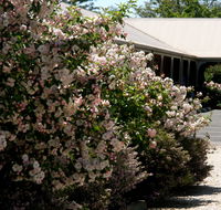 Wine Village Motor Inn