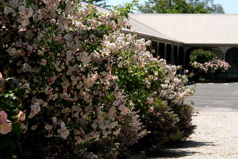 Wine Village Motor Inn - Accommodation Perth 0