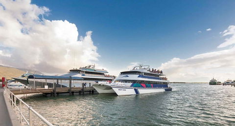 Sebel Cairns Harbour Lights - Accommodation Perth 16