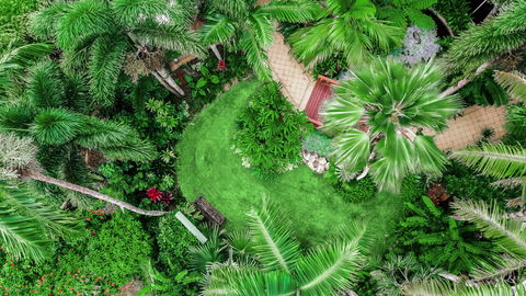 Holiday Inn Cairns Harbourside - Accommodation Perth 16