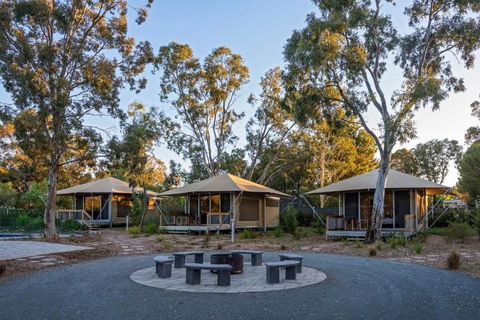 Discovery Parks Barossa Valley - Accommodation Perth 0