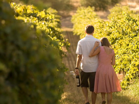 Novotel Barossa Valley Resort - Accommodation Perth 1