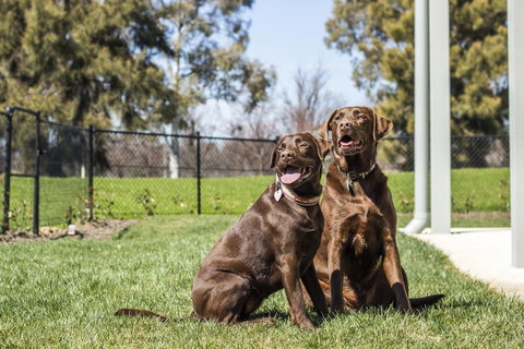 Abode Narrabundah - Perth Resorts 21