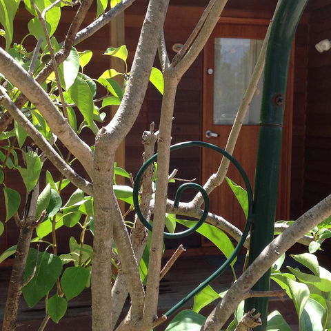 The Cook Cottage - Perth Resorts 10