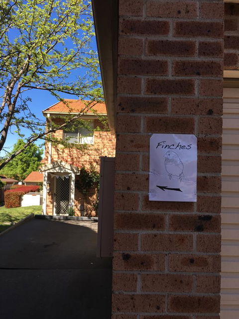 Finches Canberra - Accommodation Perth 6