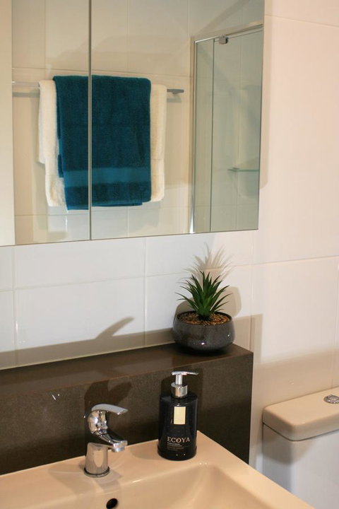 Modern Executive Apt@Barton*1BR*WiFi*Gym*Secure Parking*Canberra - Accommodation Perth 13