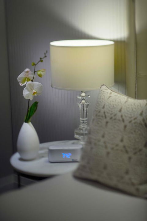 Mayfair Hotel - Accommodation Perth 13