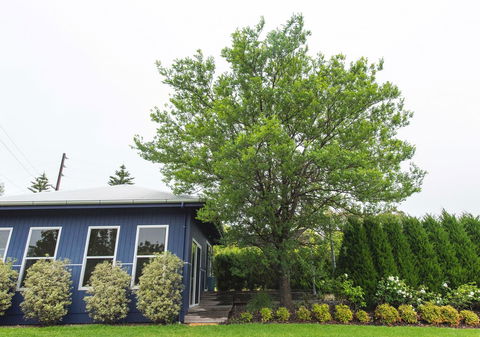 S T U D I O 22 Peaceful Retreat With Garden Views - Accommodation Perth 11
