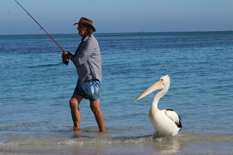 Ceduna Foreshore Caravan Park - Perth Resorts 21