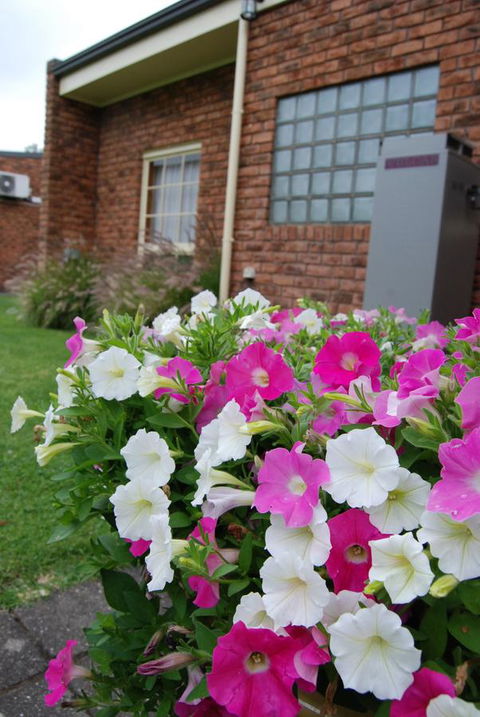 Arkana Motor Inn & Terrace Apartments - Accommodation Perth 40