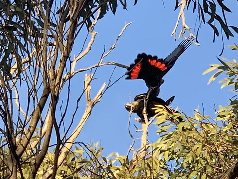 Sunrise On Falie Seaview Eco Accommodation - Perth Resorts 7
