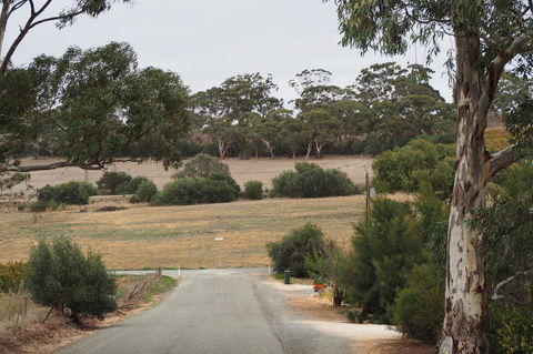 32 West B&B - Accommodation Perth 4