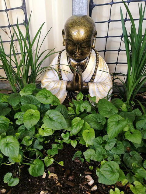 Hilda Anna's - Accommodation Perth 44