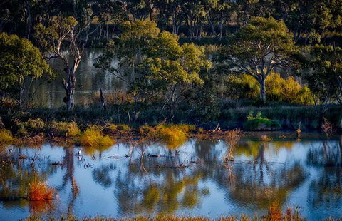 Riverview Rise Retreats - Perth Resorts 7