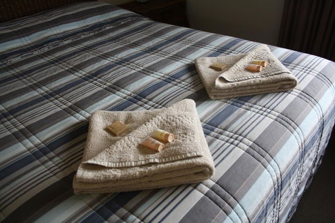 Isis Motel Scone - Accommodation Perth 3