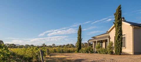 Barossa Shiraz Estate - Accommodation Perth 13