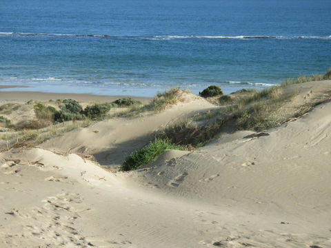 McCloud House - Perth Resorts 10